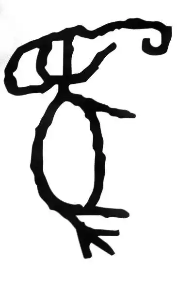 象形字(组图)|甲骨文_网易新闻