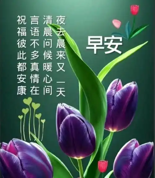 温馨的早安祝福图片问候祝福语,暖心的早上好问候语祝福短句|幸福的