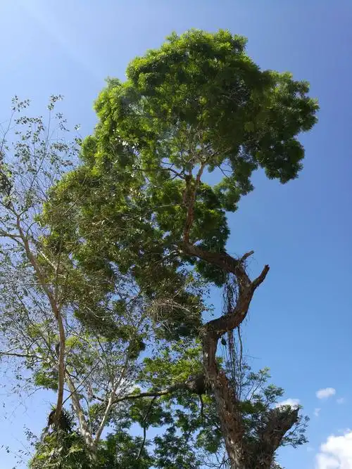 《山溪逍遥游——佳西溪谷漫行》