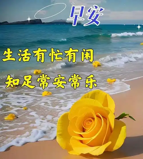 早上好!愉快的人生离不开亲情和友情,平凡的生活离不开知己和朋友