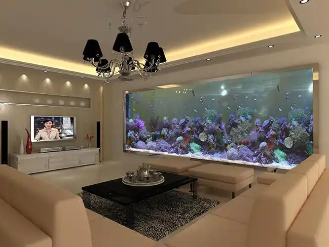 鱼缸摆放的风水学!-饰家装修网