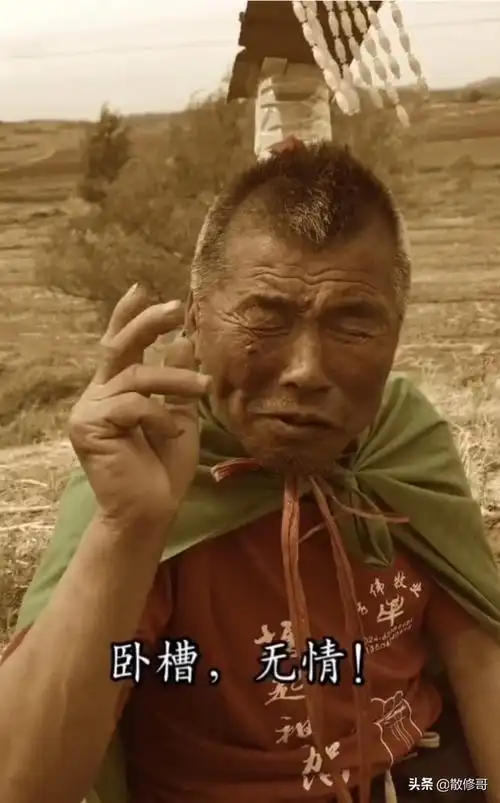 "卧槽无情"是个什么段子 - 帕菲诺生活百科