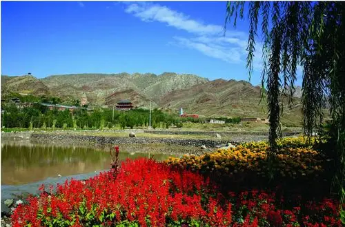 有一个景点叫宁夏――之我的家乡石嘴山