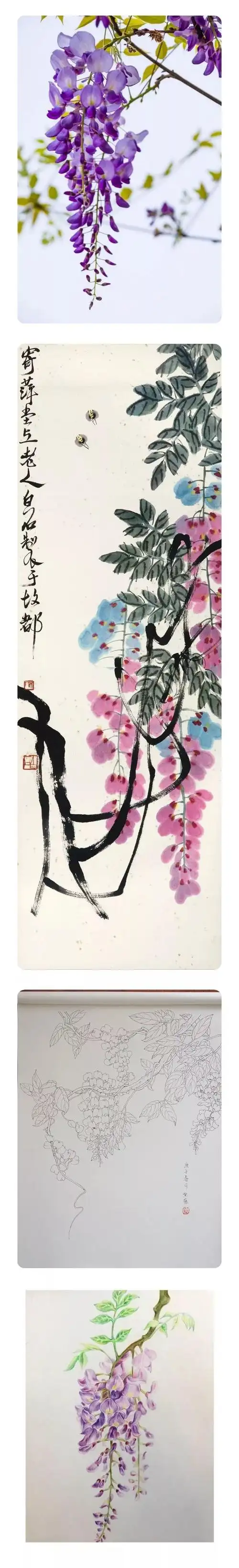 好课开讲春季里看齐白石紫藤