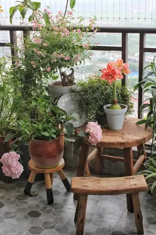 27楼10㎡阳台打造四季开花的小花园没院子也没能阻止我养花