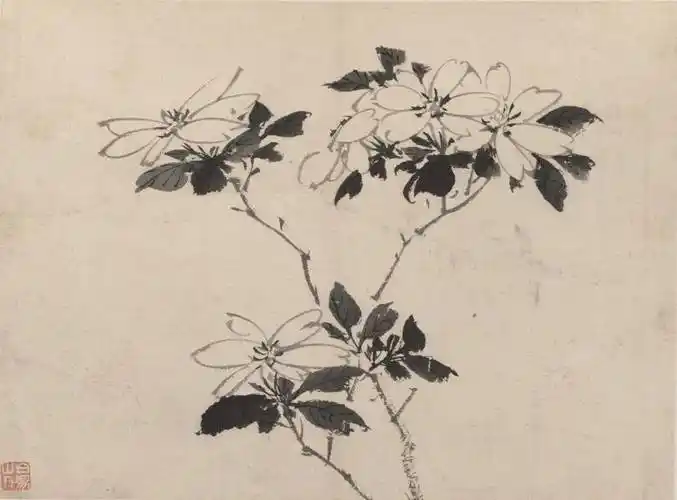 白阳陈淳以书入画开拓了花鸟画大写意新的艺术境地