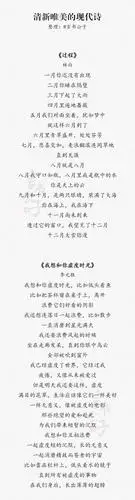 "想你,是一池捞不起的月光"——清新唯美的现代诗,适合摘抄练字.