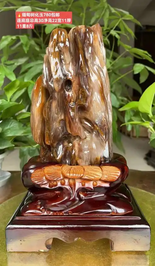 【京选品质】树化玉摆件 冰种缅甸木化玉桌面树化石奇石天然木化石树