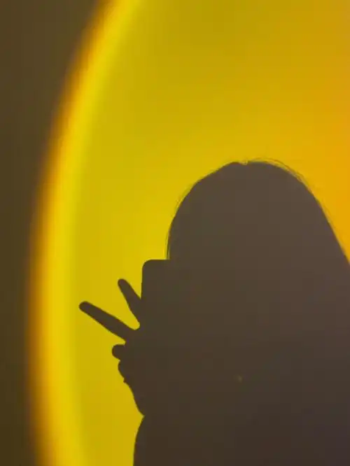 耗时两小时的日落灯做作自拍