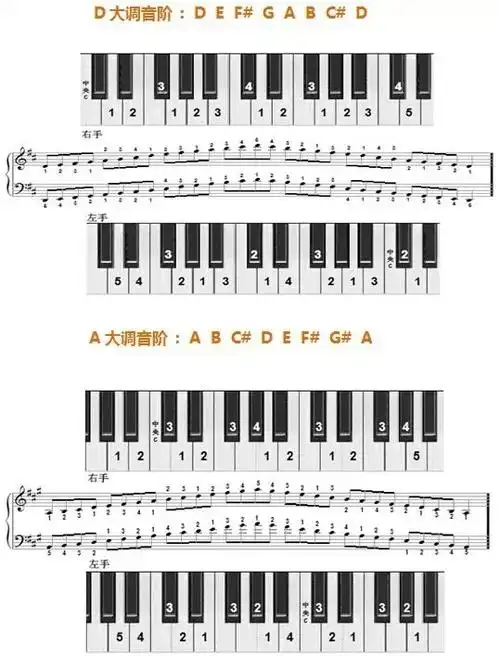 和弦与琶音 2曲谱名d大调音阶反向四个八度儿童钢琴练习曲钢琴谱钢琴