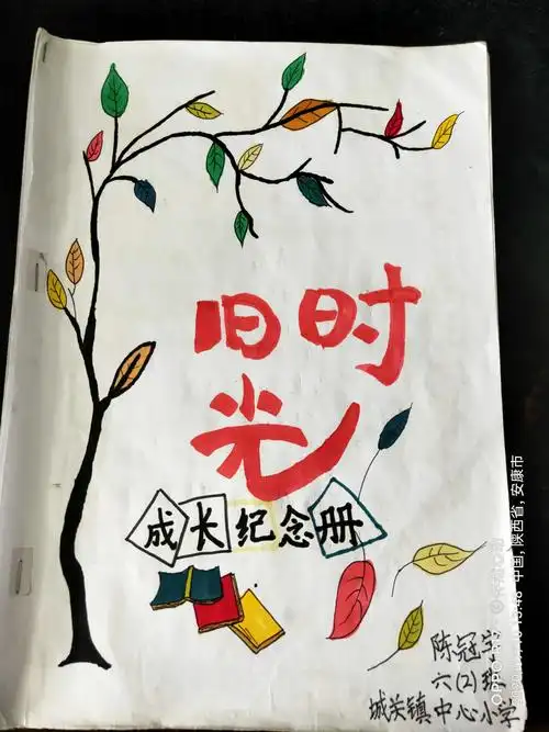 城关镇中心小学别样毕业季