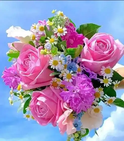 蓝蓝的天白白的云照耀着美丽的鲜花