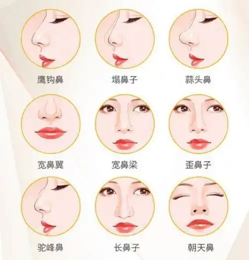 大多数顾客其实都不太清楚自己的鼻子属于那种类型?