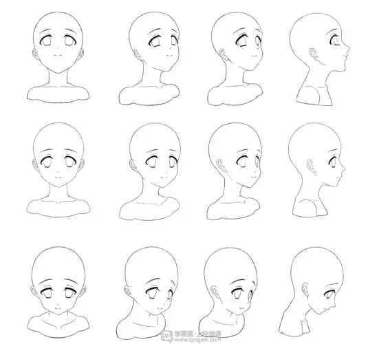 复杂头部转向练习—人体结构头部的学习