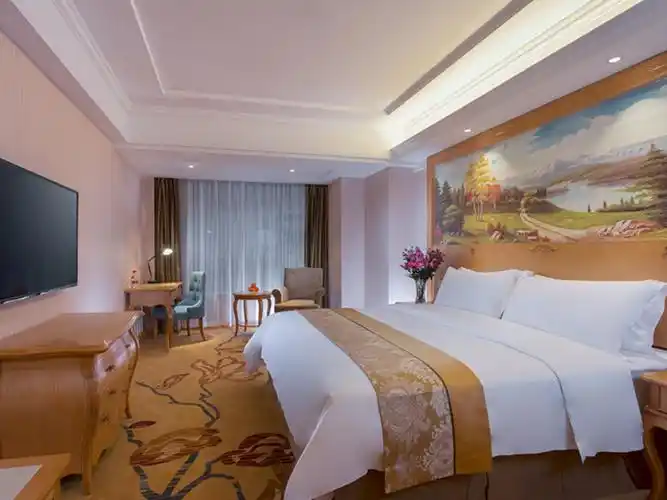 维也纳酒店成都大丰地铁站店 (vienna hotel chengdu dafeng metro