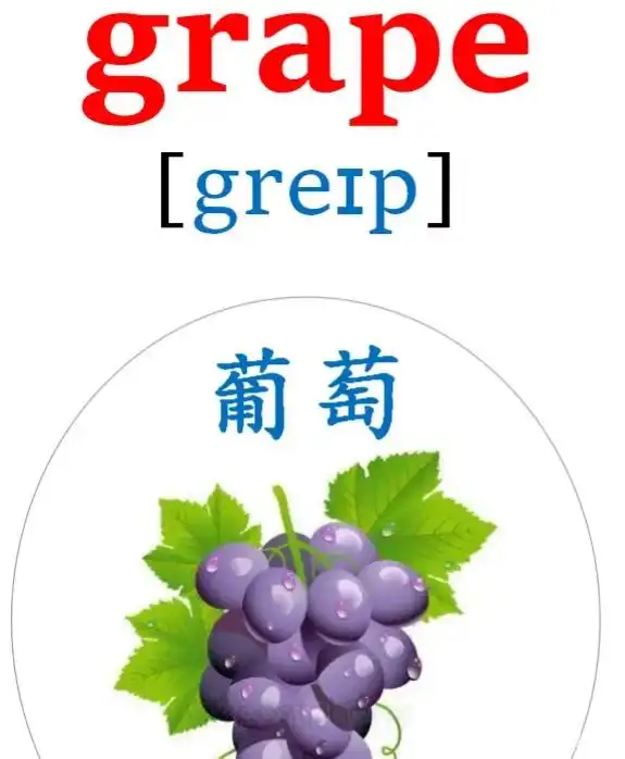 水果英语单词应该是这样记住的