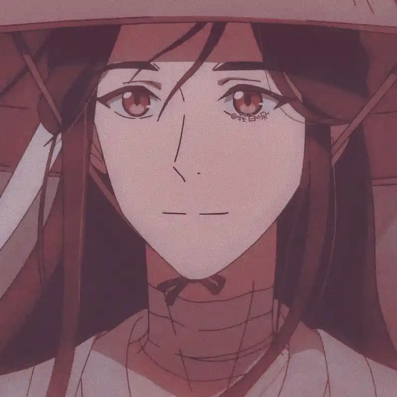 「第135期」动漫男头:天官赐福 谢怜二次元男生头像