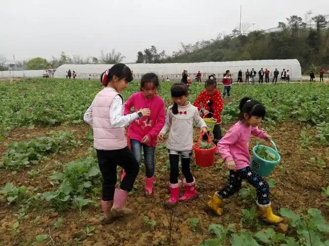 2015(1)植树节 亲子活动圆满结束
