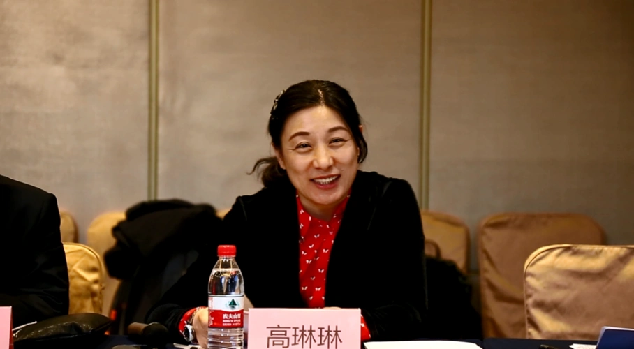 辽宁公安司法管理干部学院驻寺儿堡镇老边村第一书记高琳琳陈述发言