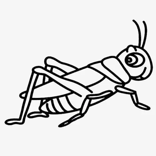 关键词  线条黑色简单蚂蚱