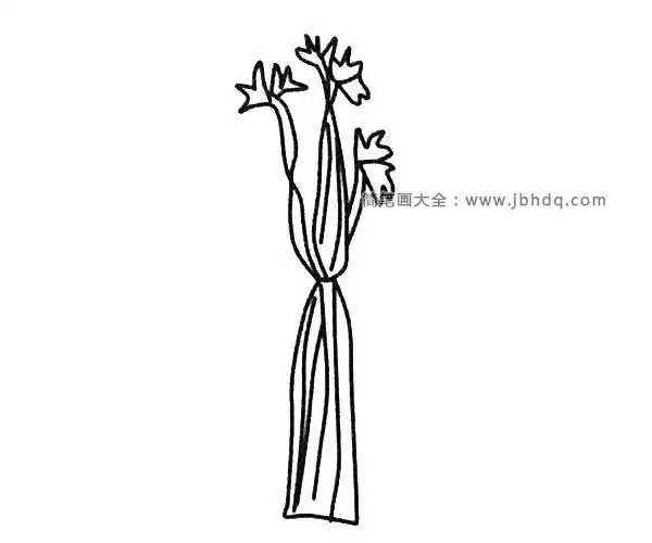 芹菜简笔画步骤