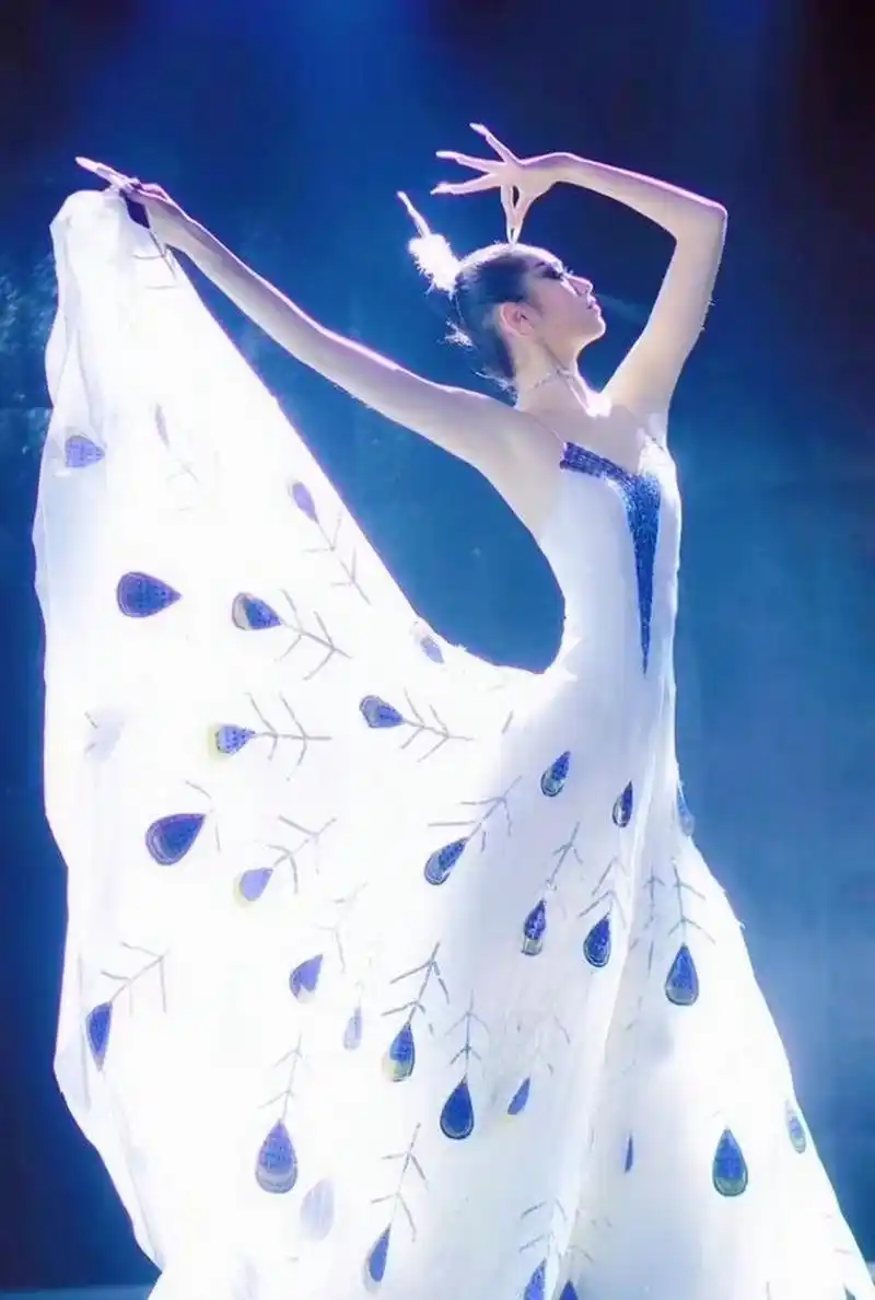 民族舞蹈家杨丽萍的孔雀舞真是出神入化,美不胜收.