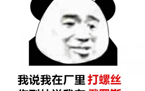 我说我在厂里打螺丝你到处说我在俄罗斯表情包
