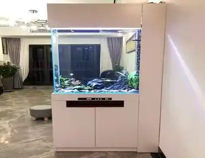 玄关处摆放鱼缸风水禁忌