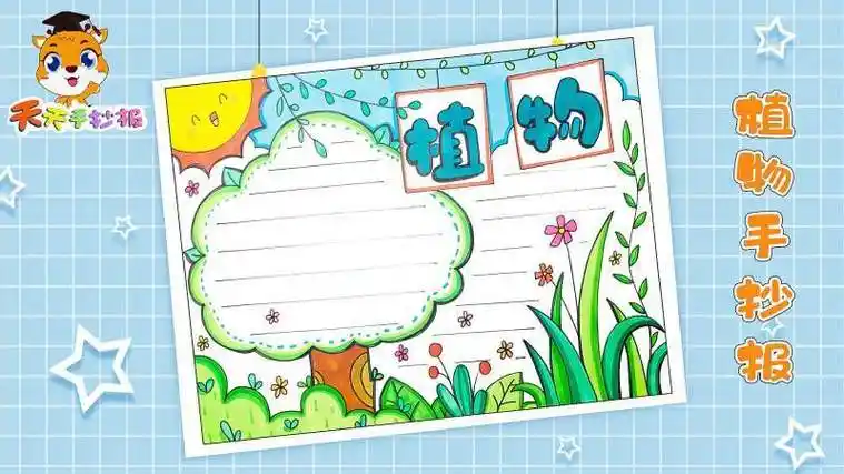 怎么画水培植物手抄报怎么画手抄报
