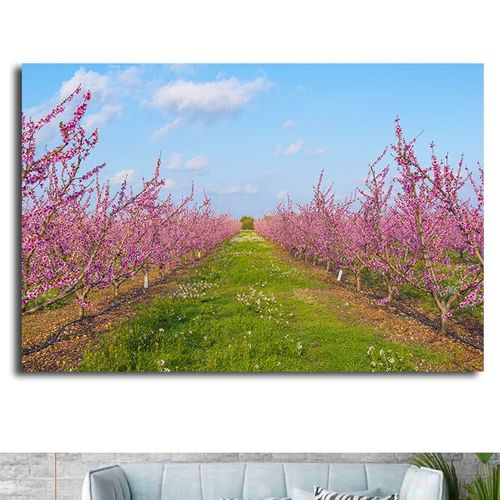 自然风景画桃花姻缘树春天粉色桃花林海报客厅书房房间贴画墙画9