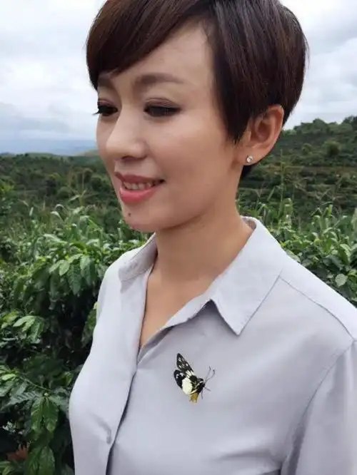 欧阳夏丹资料央视主持人欧阳夏丹近照曝光