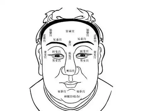 看相算命图解_面相十二宫之_奴仆宫(面相)