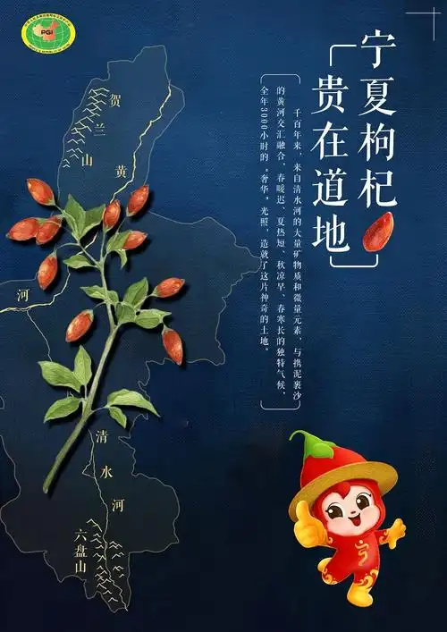 天下黄河富宁夏宁夏枸杞甲天下