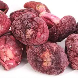产地直销 野生菌红菇批发 供应 天然正红菇 种植 红蘑菇