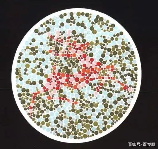考驾照必备!3张色觉测试图,帮你成功通过第一关!