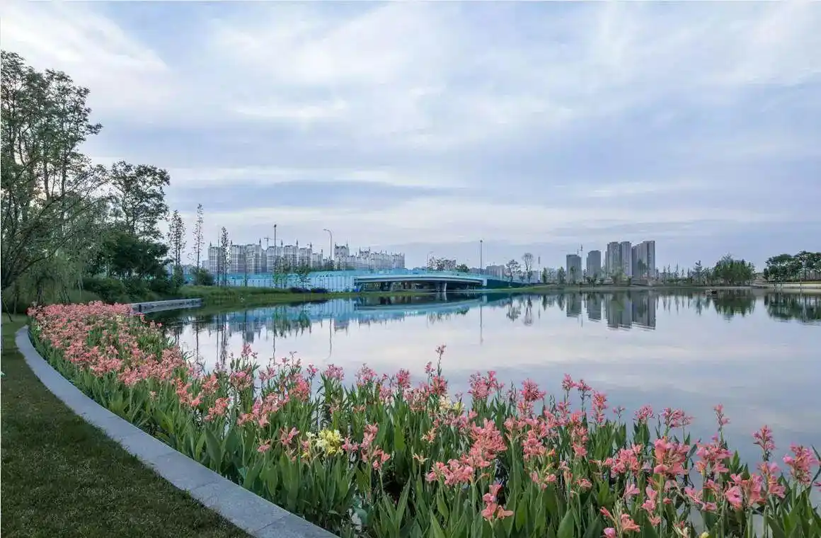 新川湿地公园正在加快建设将于明年全面建成成都再添一个天然"净水器"