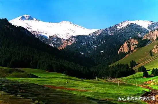 地处新疆天山深处,依连哈比尔尕山北簏,东临石河子,距石河子市,沙湾