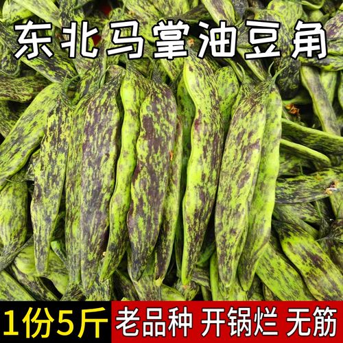 东北豆角马掌新鲜菜蔬菜农家花道油豆角特产现摘5斤2023头茬油豆