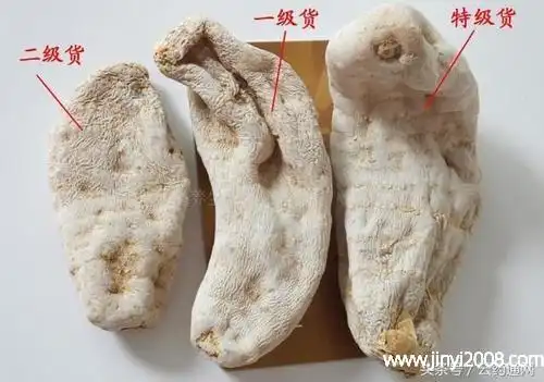 天麻怎么挑选天麻要怎么保存