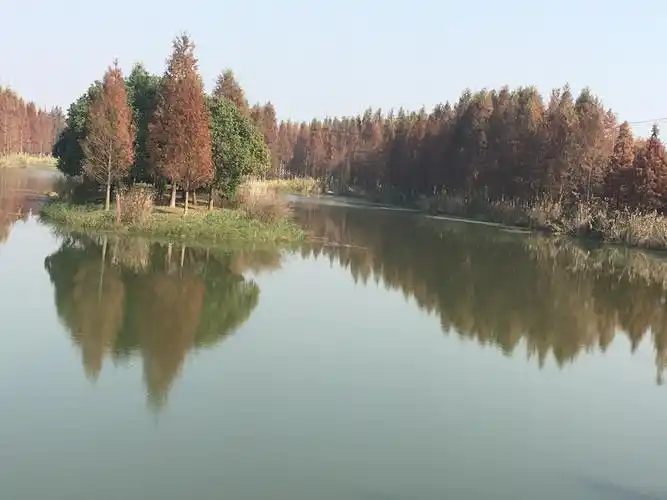 水上森林,红韵野径,水漾湿地,这景别致.