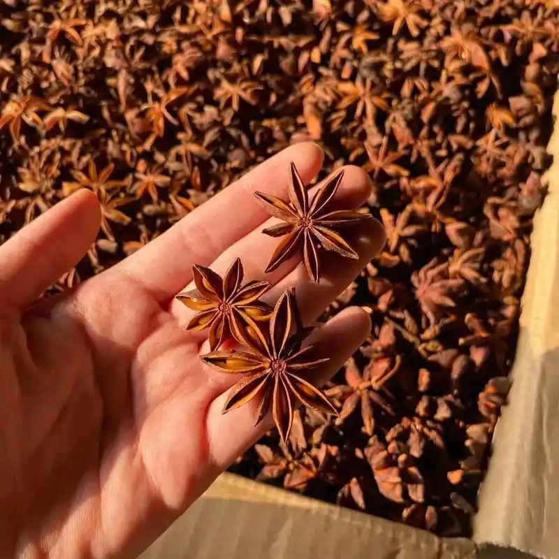 八角茴香进口报关清关.八角茴香进口清关  八角茴香进口清关需 - 抖音