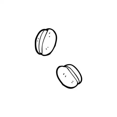 咖啡豆卡通,向量,在白色背景上的咖啡豆卡通