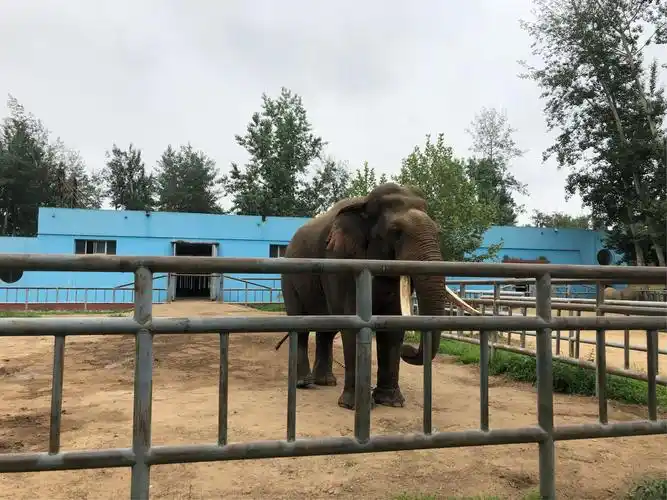 探访北戴河野生动物园