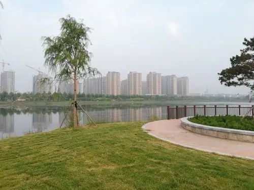 骑行白鹭湖湿地公园