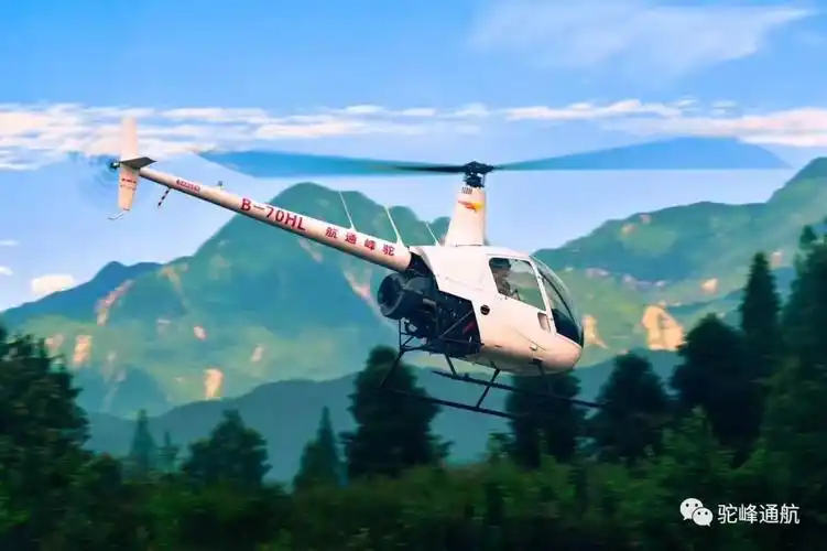 重磅四川省印发四川省通用航空产业发展规划20192025年加快推动全省