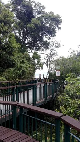 向山自行车步道