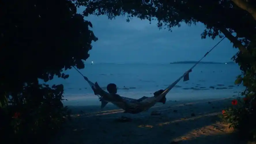 ins:tangbadvoice审美积累|以爱