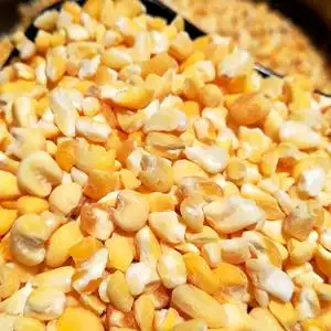 粘大碴子5斤 东北农家糯玉米碴黏玉米渣 粘黄玉米大茬子 煮大碴粥