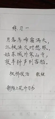 古诗硬笔书法——书愤(二)