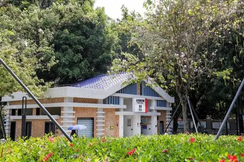 福田区城市管理与综合执法局:精细化管理"绣"出幸福城区新貌_公园